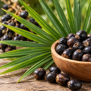 SAW PALMETTO